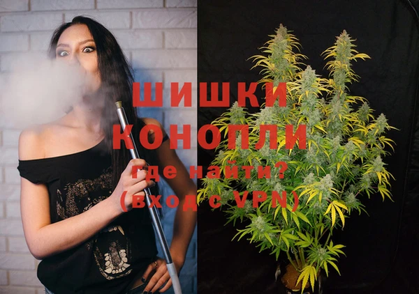 бошки Новозыбков