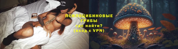 дживик Новодвинск