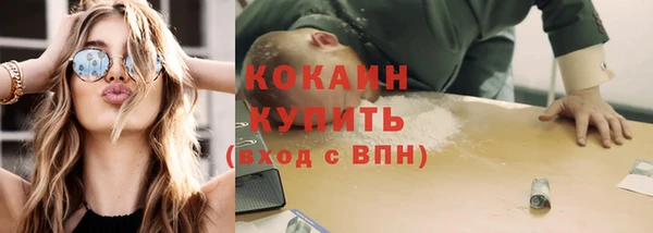 дживик Новодвинск
