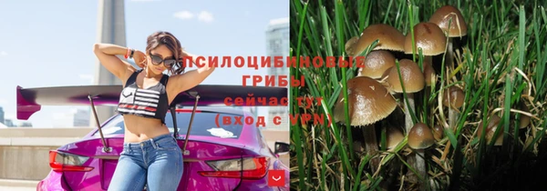 дживик Новодвинск